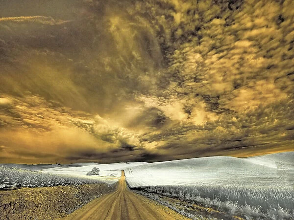 USA, Washington State, Palouse. Backcountry road through wheat field and clouds
