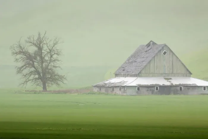 Framed Print : USA, Washington State, Palouse. Barn and tree in fog