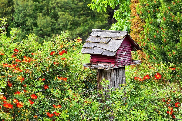 USA, Washington State, Palouse, Colfax. Red birdhouse sitting on a fence