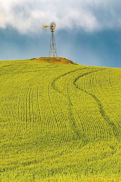 USA, Washington State, Palouse, Colfax. Green fields of wheat windmills, . Weather Vane
