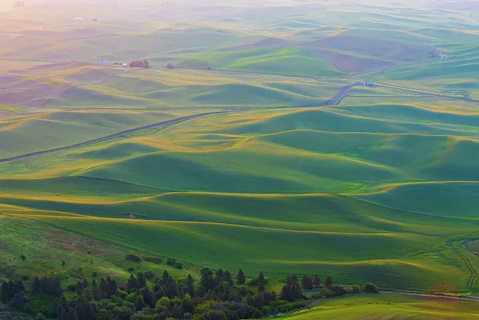 Framed Print : USA, Washington State, Palouse, Colfax. View from Steptoe Butte Framed Print : USA, Washington State, Palouse, Colfax. View from Steptoe Butte