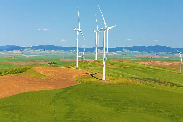 USA, Washington State, Palouse. Oakesdale. White wind turbines, windmills