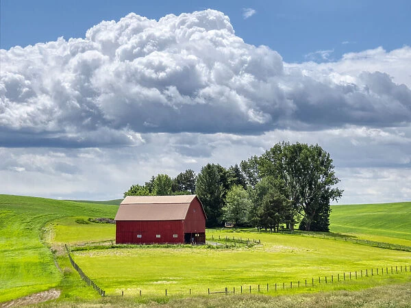 USA, Washington State, Palouse, Old Red barn with fresh green fields