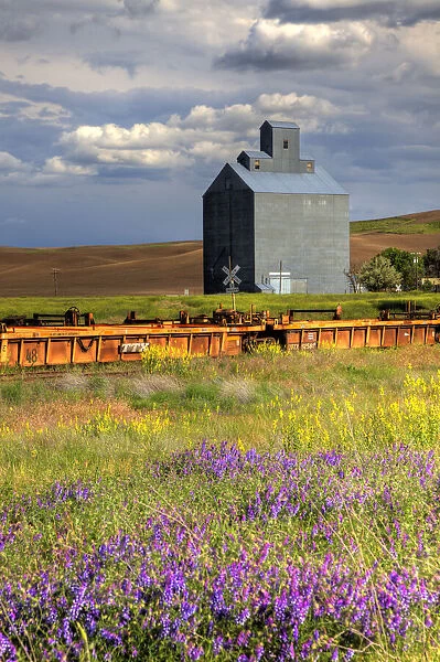 USA, Washington State, Palouse. Old silo with wildflowers in the foreground in the town of Wauconda in Eastern Washington