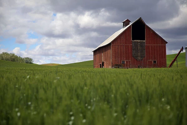 USA, Washington State, Palouse. Red barn in farm field