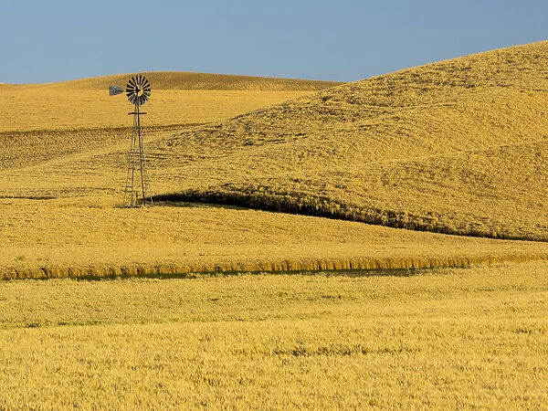 USA, Washington State, Palouse Region. Windmill in fields during harvest