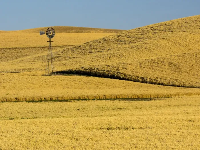 Framed Print : USA, Washington State, Palouse Region. Windmill in fields during harvest Framed Print : USA, Washington State, Palouse Region. Windmill in fields during harvest
