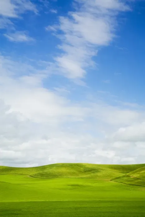 Framed Print : USA, Washington State, Palouse Region, Patterns in the fields of fresh green Spring wheat Framed Print : USA, Washington State, Palouse Region, Patterns in the fields of fresh green Spring wheat