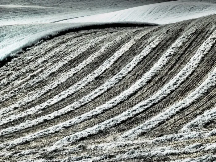 Framed Print : USA, Washington State, Palouse region, Harvest cut lines in Field Framed Print : USA, Washington State, Palouse region, Harvest cut lines in Field