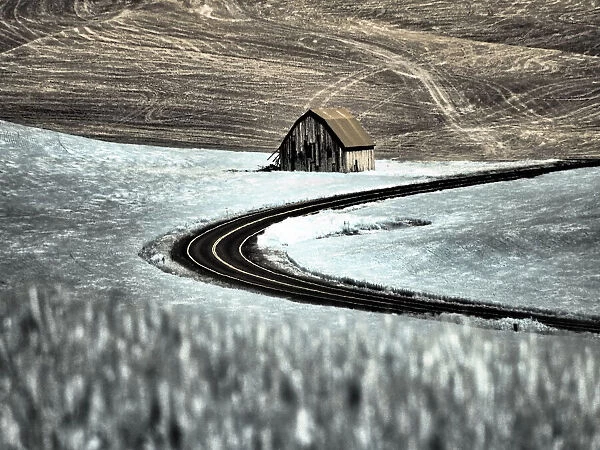 USA, Washington State, Palouse. Road running through the crops with barn along side