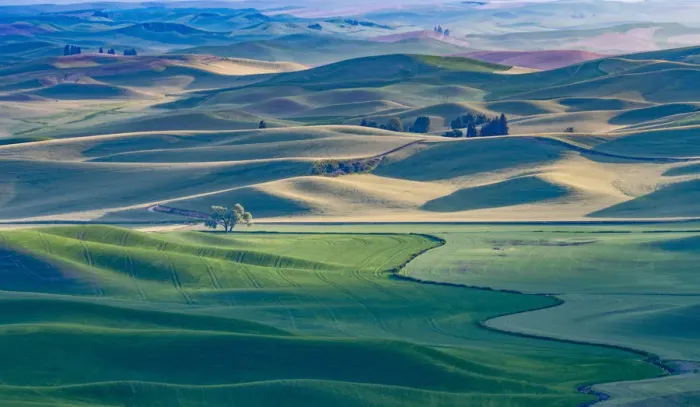 Framed Print : USA, Washington State. Palouse sunrise