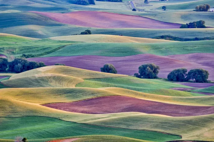Framed Print : USA, Washington State, Palouse. View from Steptoe Butte