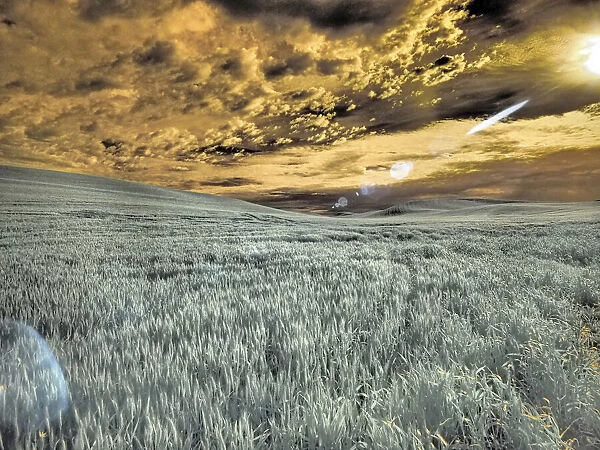 USA, Washington State, Palouse. wheat field and clouds