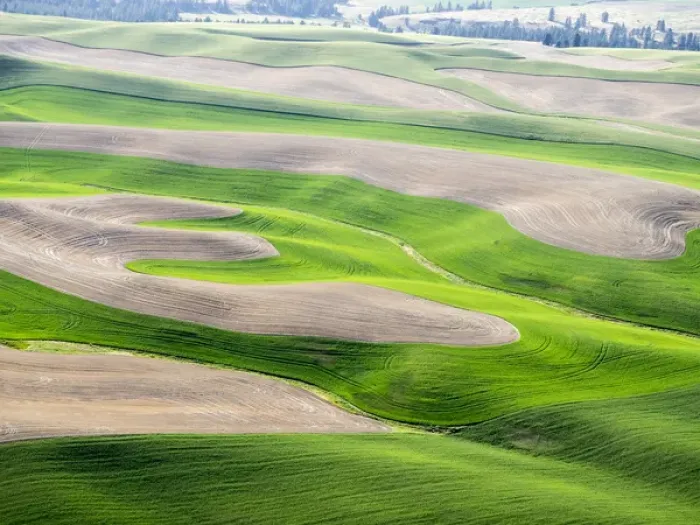 Framed Print : USA, Washington state, Palouse, Whitman County Framed Print : USA, Washington state, Palouse, Whitman County
