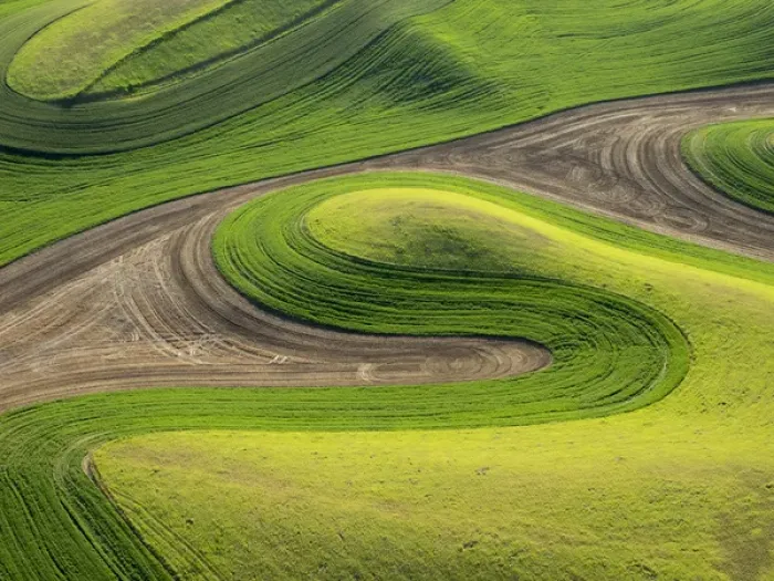 Framed Print : USA, Washington state, Palouse, Whitman County Framed Print : USA, Washington state, Palouse, Whitman County