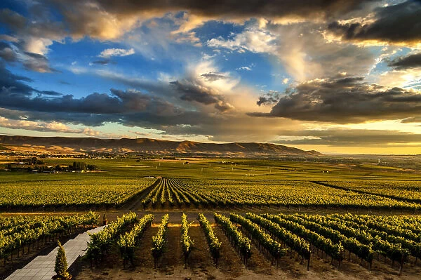 USA, Washington State, Red Mountain. Red Mountain vineyards at dusk with dramatic sky