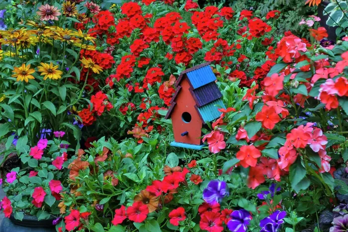Framed Print : USA, Washington State, Sammamish. Colorful painted birdhouses mixed in with color flowers Framed Print : USA, Washington State, Sammamish. Colorful painted birdhouses mixed in with color flowers