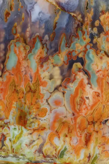 Framed Print : USA, Washington State, Sammamish. Close-up details of Prudent Man Agate Framed Print : USA, Washington State, Sammamish. Close-up details of Prudent Man Agate