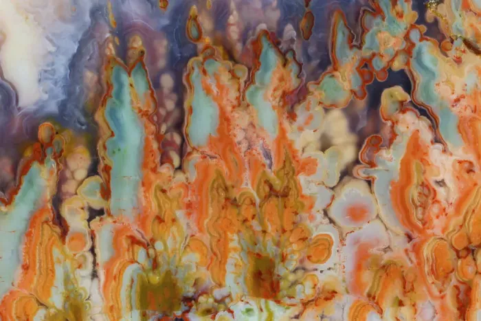 Framed Print : USA, Washington State, Sammamish. Close-up details of Prudent Man Agate Framed Print : USA, Washington State, Sammamish. Close-up details of Prudent Man Agate
