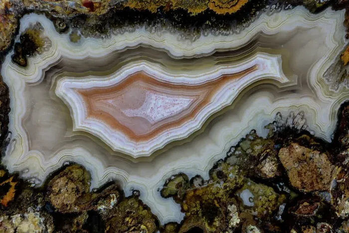 Framed Print : USA, Washington State, Sammamish. Close-up banded agate Framed Print : USA, Washington State, Sammamish. Close-up banded agate