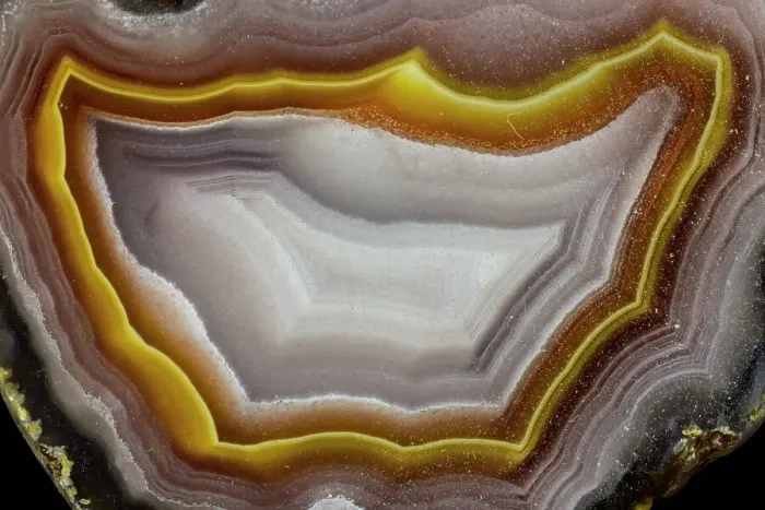 Framed Print : USA, Washington State, Sammamish. Close-up banded agate