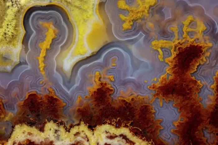 Framed Print : USA, Washington State, Sammamish. Close-up of Cathedral Agate Framed Print : USA, Washington State, Sammamish. Close-up of Cathedral Agate