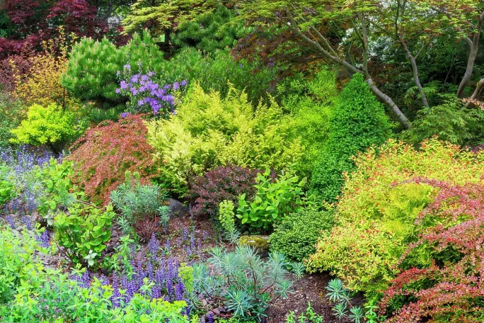 Framed Print : USA, Washington State, Sammamish. Front yard garden in springtime color with deer resistant plants Framed Print : USA, Washington State, Sammamish. Front yard garden in springtime color with deer resistant plants