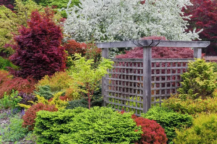 Framed Print : USA, Washington State, Sammamish. Front yard garden in springtime color with deer resistant plants