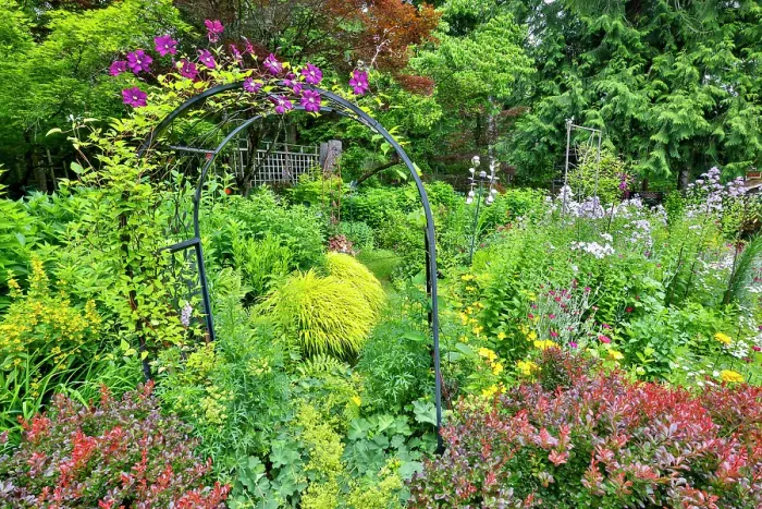 Framed Print : USA, Washington State, Sammamish. Garden in bloom in sunny location Framed Print : USA, Washington State, Sammamish. Garden in bloom in sunny location