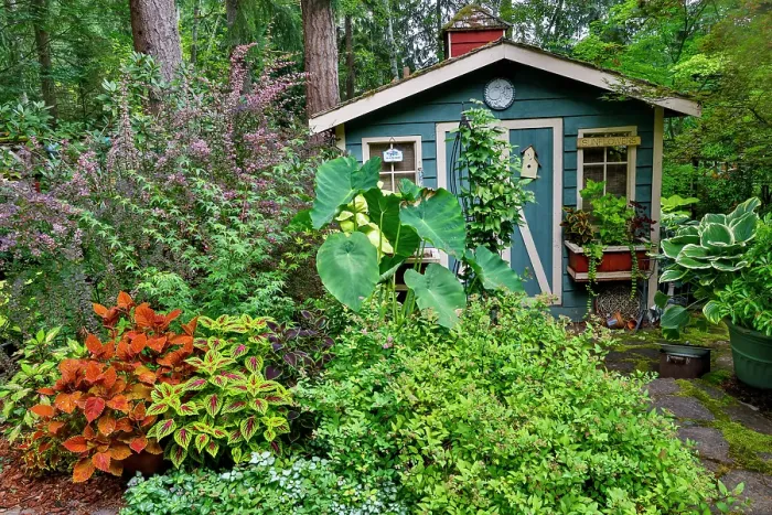 Framed Print : USA, Washington State, Sammamish. Garden and shed. (Editorial Use Only) Framed Print : USA, Washington State, Sammamish. Garden and shed. (Editorial Use Only)