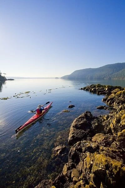 USA, Washington State, San Juan Islands, Cypress Island. Sea kayaker on calm sea. (MR)