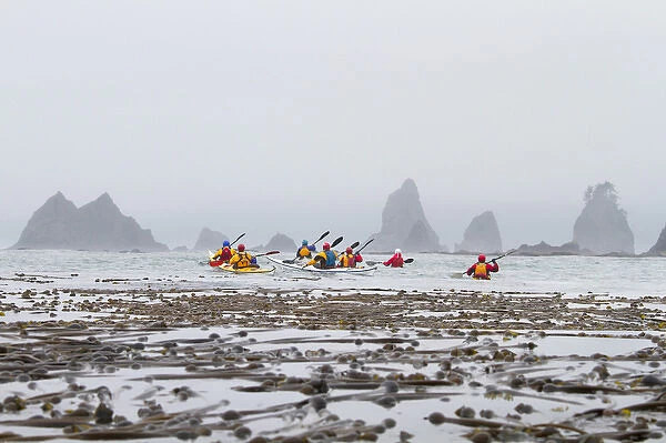 USA, Washington State. Sea kayakers paddling toward Graveyard of the Giants sea stacks