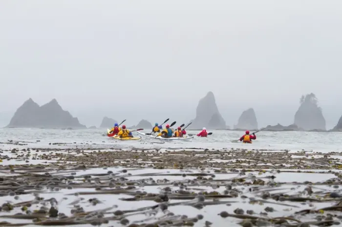 Framed Print : USA, Washington State. Sea kayakers paddling toward Graveyard of the Giants sea stacks Framed Print : USA, Washington State. Sea kayakers paddling toward Graveyard of the Giants sea stacks