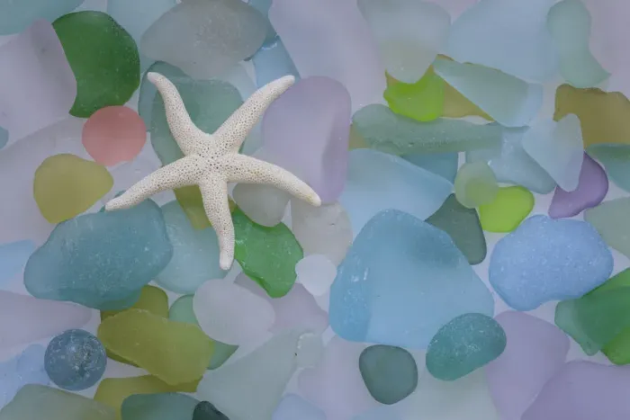 Framed Print : USA, Washington State, Seabeck. Starfish and beach glass close-up
