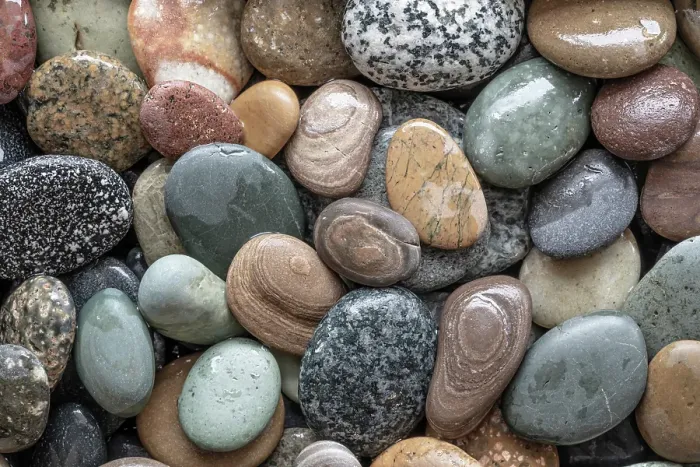 Framed Print : USA, Washington State, Seabeck. Close-up of wet beach rocks. ©Don Paulson / Jaynes Gallery / DanitaDelimont.com Framed Print : USA, Washington State, Seabeck. Close-up of wet beach rocks. ©Don Paulson / Jaynes Gallery / DanitaDelimont.com