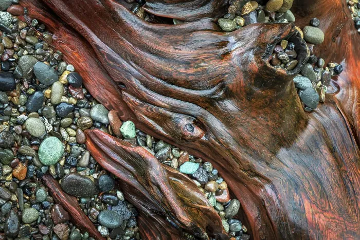 Framed Print : USA, Washington State, Seabeck. Close-up of driftwood and beach rocks. ©Don Paulson / Jaynes Gallery / DanitaDelimont.com Framed Print : USA, Washington State, Seabeck. Close-up of driftwood and beach rocks. ©Don Paulson / Jaynes Gallery / DanitaDelimont.com
