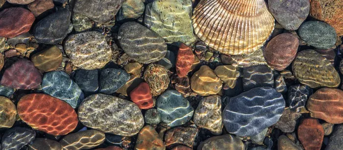 Framed Print : USA, Washington State, Seabeck. Panoramic of beach rocks and cockle shell on Hood Canal shore. ©Don Paulson / Jaynes Gallery / DanitaDelimont.com Framed Print : USA, Washington State, Seabeck. Panoramic of beach rocks and cockle shell on Hood Canal shore. ©Don Paulson / Jaynes Gallery / DanitaDelimont.com