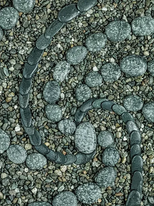 Framed Print : USA, Washington State, Seabeck. Close-up of rock design. ©Don Paulson  /  Jaynes Gallery  /  DanitaDelimont.com