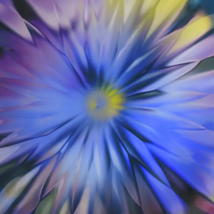 Framed Print : USA, Washington State, Seabeck. Abstract blur made to look like flower. ©Don Paulson / Jaynes Gallery / DanitaDelimont.com Framed Print : USA, Washington State, Seabeck. Abstract blur made to look like flower. ©Don Paulson / Jaynes Gallery / DanitaDelimont.com