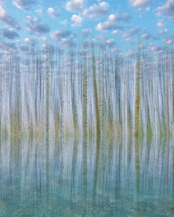 Framed Print : USA, Washington State, Seabeck. Composite of trees, sky and water. ©Don Paulson / Jaynes Gallery / DanitaDelimont.com Framed Print : USA, Washington State, Seabeck. Composite of trees, sky and water. ©Don Paulson / Jaynes Gallery / DanitaDelimont.com