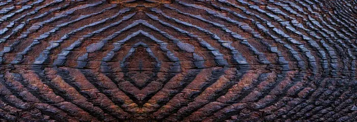 Framed Print : USA, Washington State, Seabeck. Panoramic of grain pattern on burnt driftwood. ©Don Paulson  /  Jaynes Gallery  /  DanitaDelimont.com