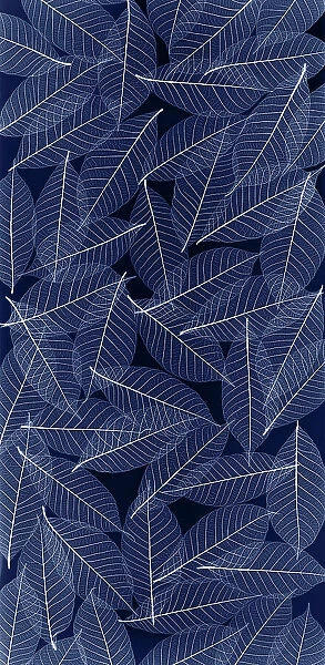 USA, Washington State, Seabeck. Black and white pattern of skeletonized leaves