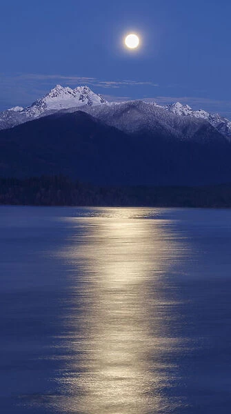 USA, Washington State, Seabeck. Moon over Olympic Mountains and Hood Canal at sunrise