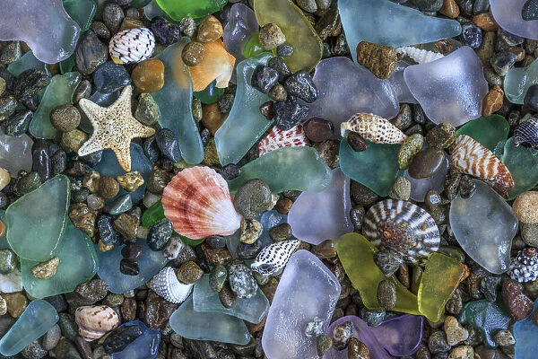 USA, Washington State, Seabeck. Sea shells and beach glass close-up
