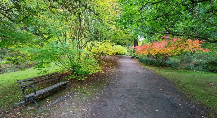 Framed Print : USA, Washington State, Seattle. Washington Park Arboretum in the fall with trail leading into autumn colored trees Framed Print : USA, Washington State, Seattle. Washington Park Arboretum in the fall with trail leading into autumn colored trees