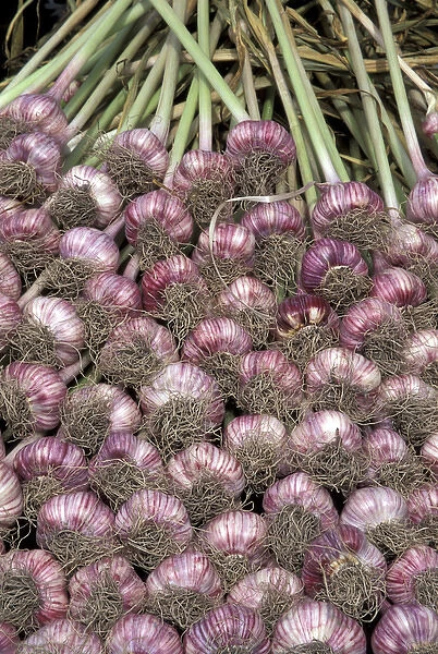 USA, Washington State, Seattle. Garlic display at Pike Place Market, Summer