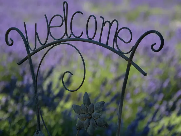 Framed Print : Usa, Washington State. Snoqualmie Valley. Black iron Welcome sign in garden with lavender Framed Print : Usa, Washington State. Snoqualmie Valley. Black iron Welcome sign in garden with lavender