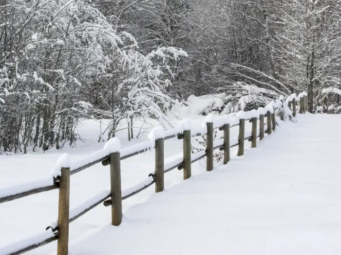 Framed Print : USA, Washington State. Snow covered fence