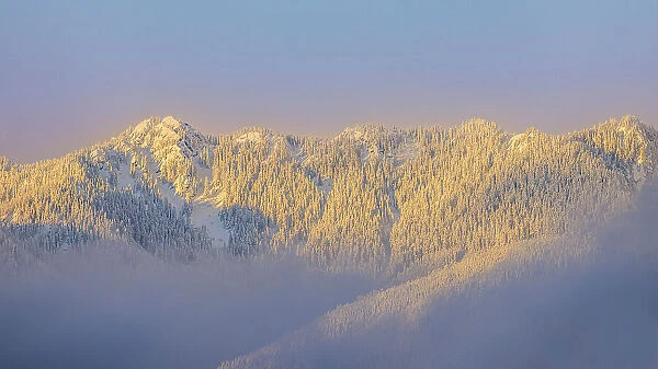 USA, Washington State. Sunrise on snow-covered mountains in Olympic National Forest