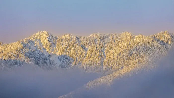 Framed Print : USA, Washington State. Sunrise on snow-covered mountains in Olympic National Forest Framed Print : USA, Washington State. Sunrise on snow-covered mountains in Olympic National Forest
